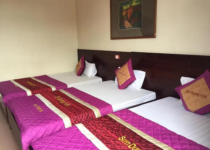 Hotel Son Duong 31 Anh Dao