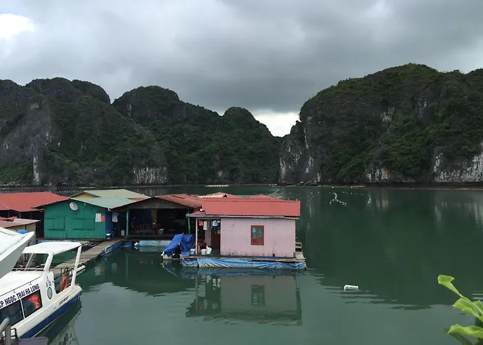 Son Duong 31 Anh Dao
