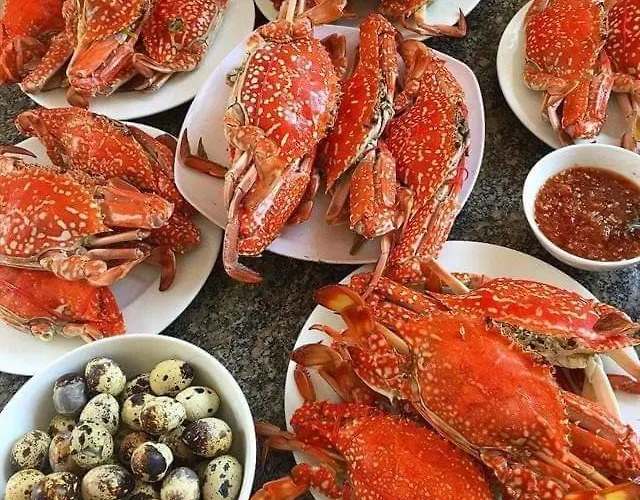 Son Duong 31 Anh Dao Hạ Long